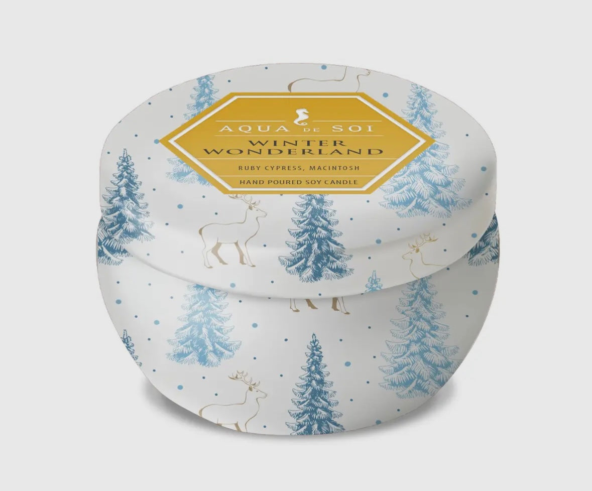 Winter Wonderland 9oz Candle